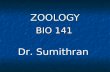 Zoology Introduction.ppt