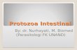 Protozoa Intestinal