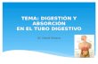 Digestion y Absorcion Tubo Digestivo