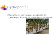 Hydroponics Powerpoint