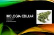 5. Biología Celular II