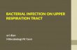 Bacterial Infection on Upper Respiratory Tract Hemofillus Moraxella Fusobacterium Ed 1
