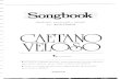 Songbook Caetano Veloso Volume 2