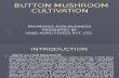 BUTTON MUSHROOM CULTIVATION[2].ppt