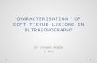 Charecterisation of Soft Tissue Lesions in Ultrasonography