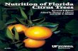 SS47800 Citrus Nutrition FLorida