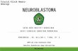 205198417 Neuroblastoma