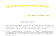ectoparasitos 2.pptx.pdf
