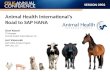 0902 2013AC Animal Health International Road to SAP HANA Version 2b Without Comments