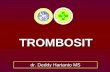 New Trombosit