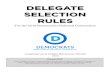 2016 Democratic Delegate Selection Rules