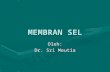 KP 4.5 Struktur Membran Sel _ by dr. Sri Meutia.ppt