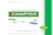 BUSINESS PLAN easy-print.pdf