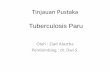 92580723-Tinjauan-Pustaka-TB-Paru (1)