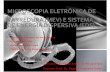 Microscopia Eletronica de Varredura (Mev) e Eds