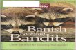 Banish Backyard Bandits