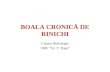 Boala Cronica de Rinichi - 2013 Curs
