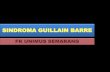 Sindrom Guillain Barre / SGB