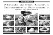 Manual de Capacitación - NIVEL BÁSICO - Método de Mini-Cultivo Biointensivo Sustentable