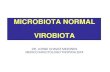 The Microbiota