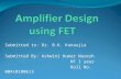Amplifier Design Using MESFET
