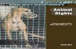 Animal Rights.pdf