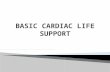 BASIC CARDIAC LIFE SUPPORT.pptx