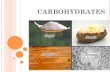 SBI4U Intro to Carbohydrates