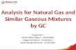 Analysis Gas by GPA 2261 (2)