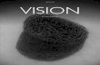 Vision Issue 009