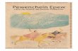 Pewenchein Epew. Libro de relatos del pueblo Pewenche.
