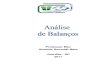 + Analise-balancos_2011-Arnoldo Schmidt-SC