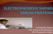 Serum Protein Electrophoresis & Their Clinical Importance