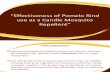 PPT Effectiveness of Pomelo Rind
