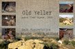 Old Yeller Powerpoint