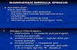 Gangguan Medulla Spinalis (1)