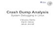 Crash Dump Analysis