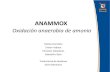 ANAMMOX (Oxidación anaerobia de amonio)