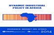 Dynamic Industrial Policy in Africa: Innovative Institutions, Effective Processes and Flexible Mechanisms