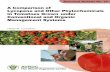 Antioxidants in Tomatos--Lycopene.pdf