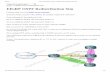 ROUTE 642-902 Training » EIGRP OSPF Redistribution Sim