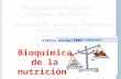 Exposicion de Bioquimica Nutricion