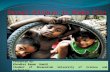 Lives and Livelihoods of the Street Children in Dhaka PPT