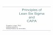 Principles of Lean Six Sigma 2012