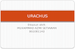 Urachus ppt