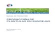 EDA Manual Produccion Plantulas 08 07