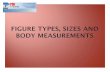 Figure Types_ Sizes & Body Measurements