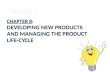 Product Life Cycle (PLC) Strategies