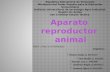 Fisiologia Animal( Aparato Reproductor Animal)