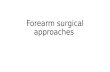 Forearm Surgical Approaches